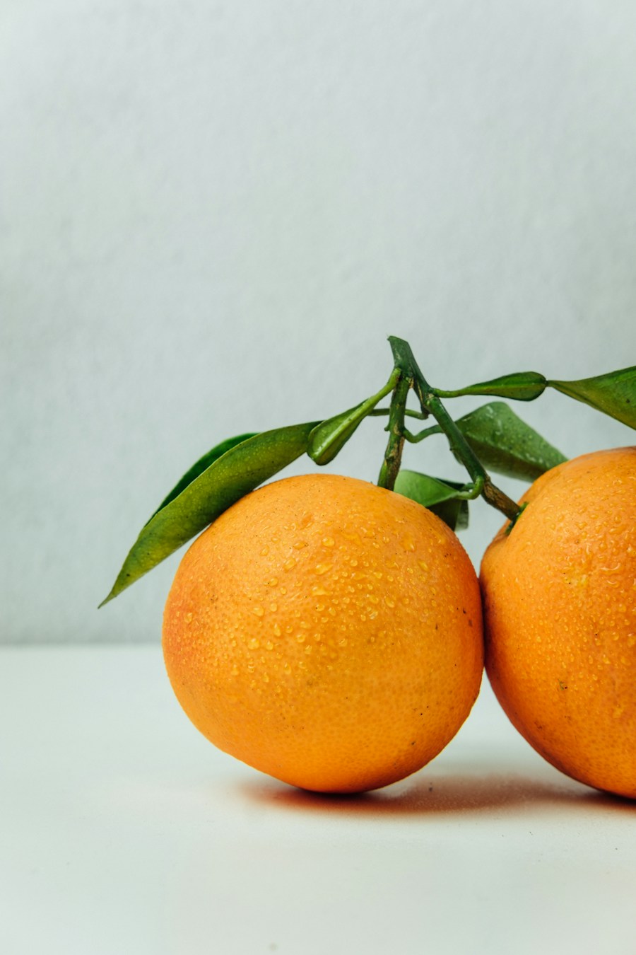 Close-up of oranges used as a sample image for team annotation